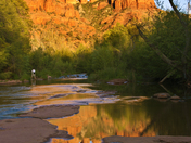 Coconino National Forest