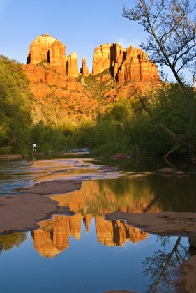 Coconino National Forest