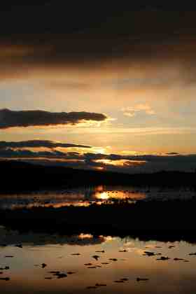 wilson lake
