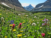 Glacier National Park Montana