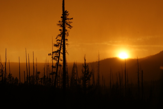 Yellowstone National Park
