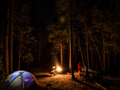 Sequoia National Forest