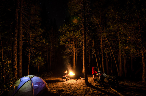Sequoia National Forest