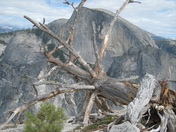 Yosemite National Park