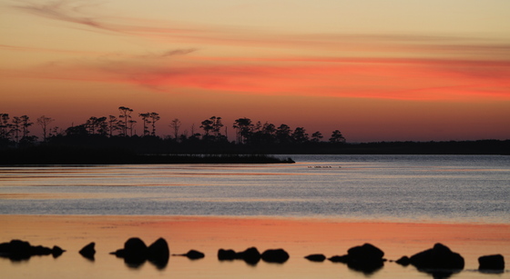Back Bay Wildlife Refuge