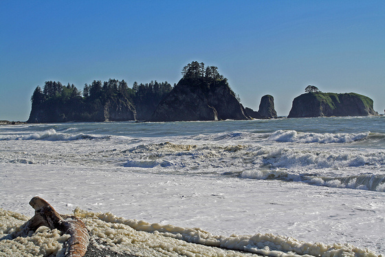 Olympic National Park