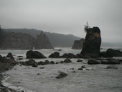 Olympic National Park