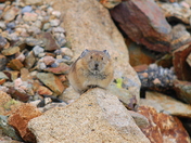 Rocky Mountain National Park