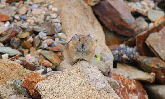 Rocky Mountain National Park