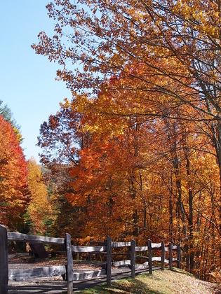 Great Smoky Mountains National Park