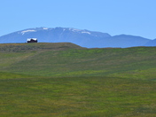 Custer National Forest