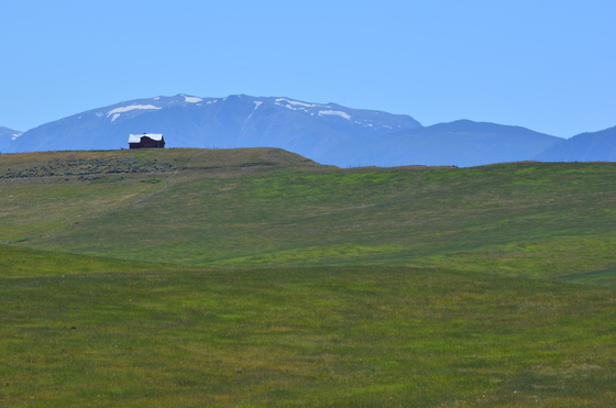 Custer National Forest