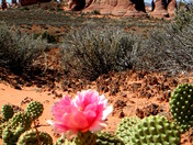 Canyonlands National Park