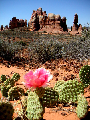 Canyonlands National Park