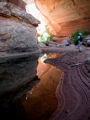 Bridges National Monument