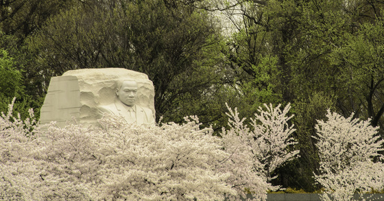 Martin Luther King memorial