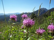 Gallatin National Forest