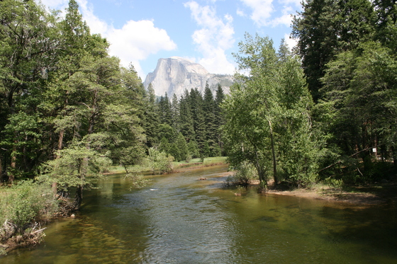 Yosemity National Park