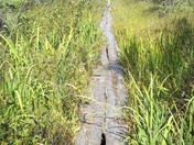 Boundary Waters Canoe Area Wilderness