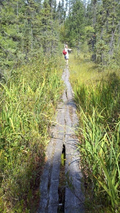 Boundary Waters Canoe Area Wilderness