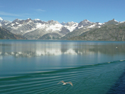 Glacier Bay National Park