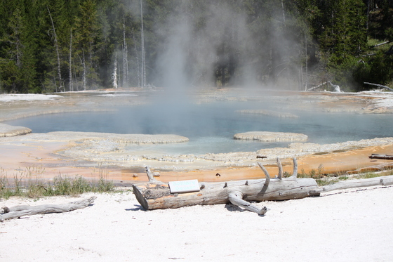 Yellowstone National Park