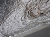 Everglades National Park