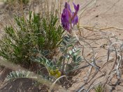 Grand Staircase-Escalante National Monument