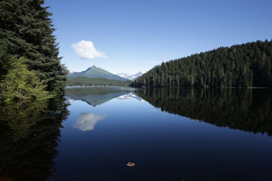 Tongass National Forest