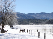  The Great Smokey Mountains 