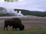 Yellowstone National Park
