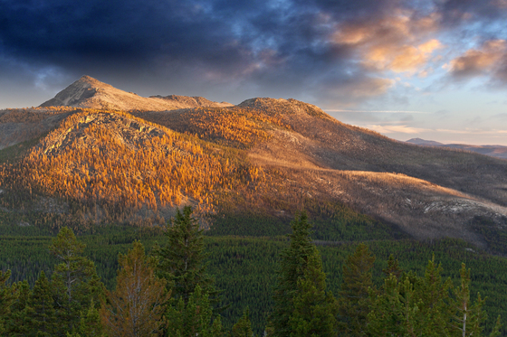 Pasayten Wilderness
