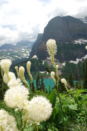 Glacier National Park
