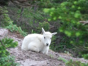 Glacier National park