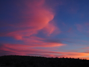 Joshua Tree National Park