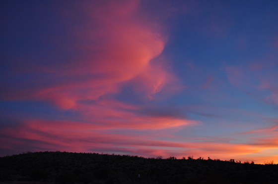 Joshua Tree National Park