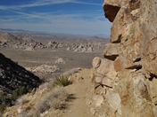 Joshua Tree National Park