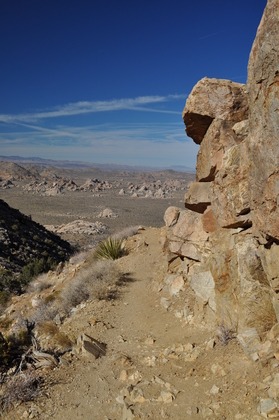 Joshua Tree National Park