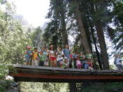 Lodgepole Sequoia National Park