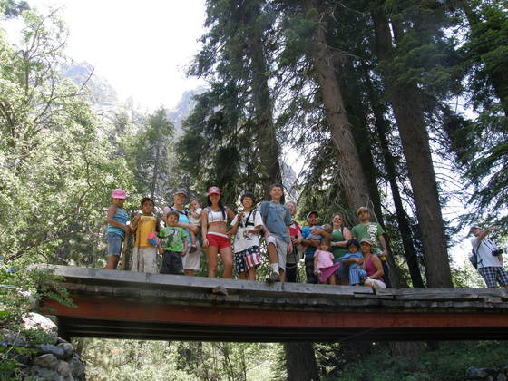 Lodgepole Sequoia National Park