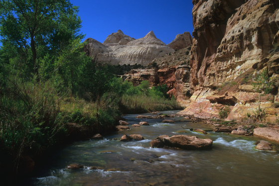 Capitol Reef National Park
