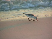 Gulf Islands National Seashore