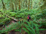Olympic National Park