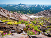 Mount Rainier National Park