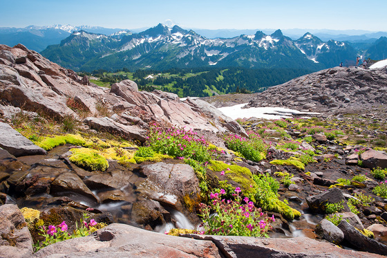 Mount Rainier National Park
