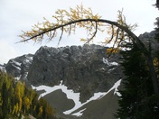 Okanogan-Wenatchee National Forest