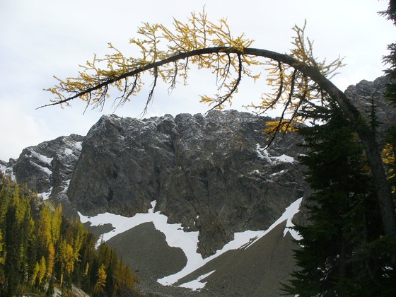 Okanogan-Wenatchee National Forest