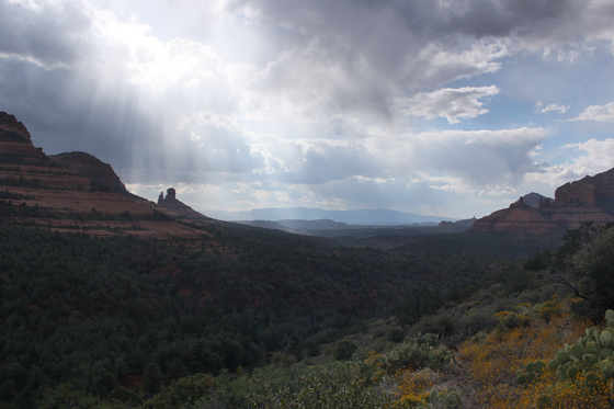 Coconino National Forest