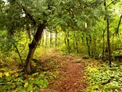 Voyageurs National Park