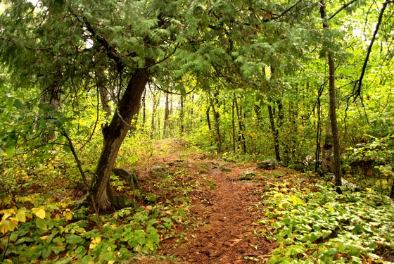 Voyageurs National Park
